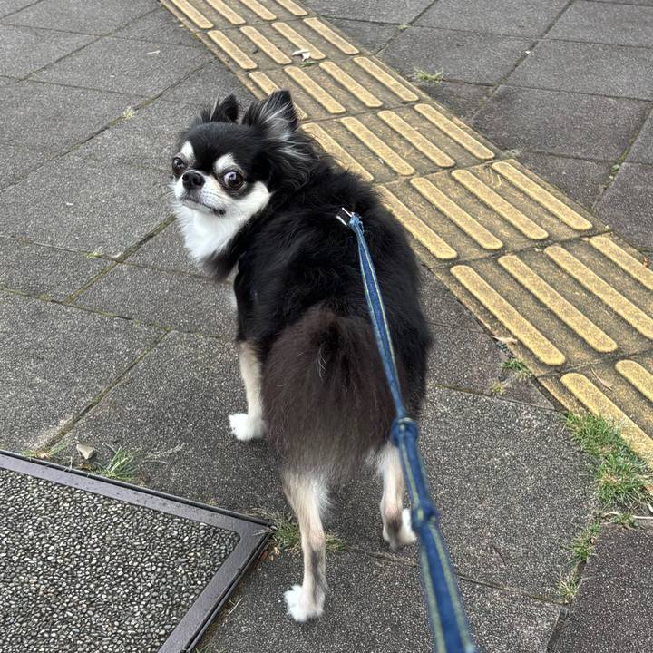 1feb2015 d6cb 4edb 827c da1a0334f4c0 1755965631685