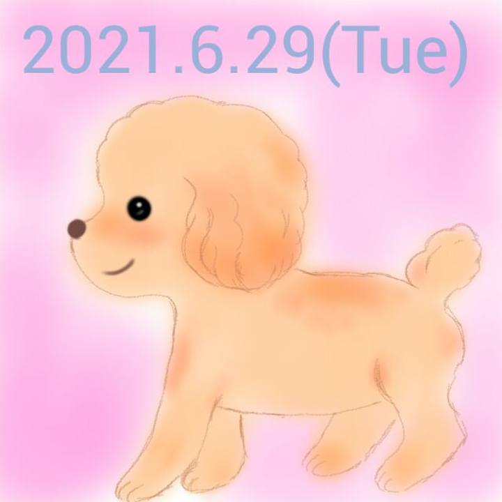 1feb2968 a4bb 4b77 a1e4 4e563f71f47a 1624965733509