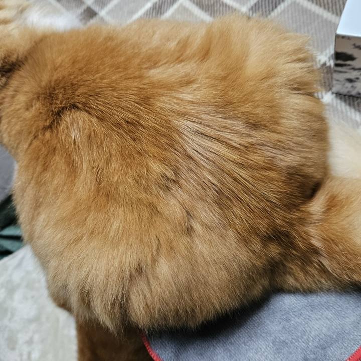 1feb3046 33de 40dc 8d1e 5389d7c15055 1769837500309