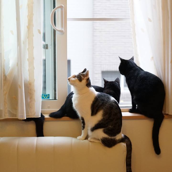 1feb4bcd f0f7 40c5 b61f c85b87122243 1529285285487