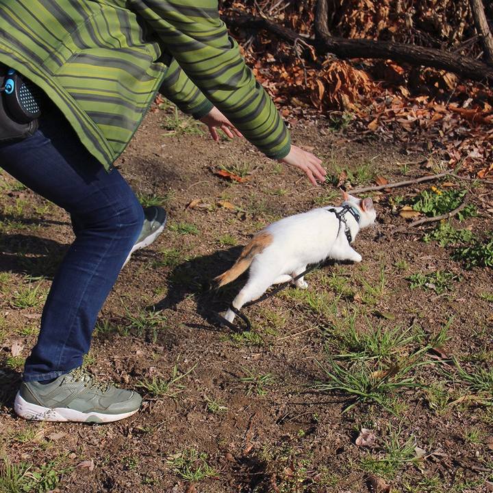 1feb62d2 0d60 467c a93c 8b579db911a8 1555035487698