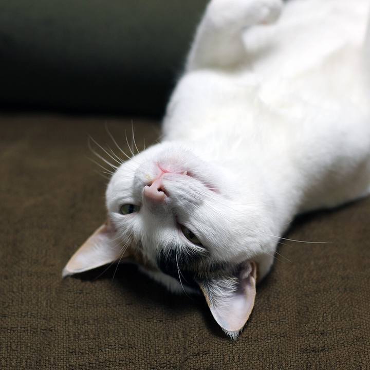 1feba2e0 b3ee 49c0 aa16 991ed948c575 1586824575876