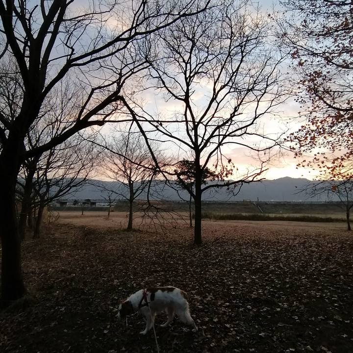 1feba6dd 9185 4177 8c58 788f31ff6193 1579477763236