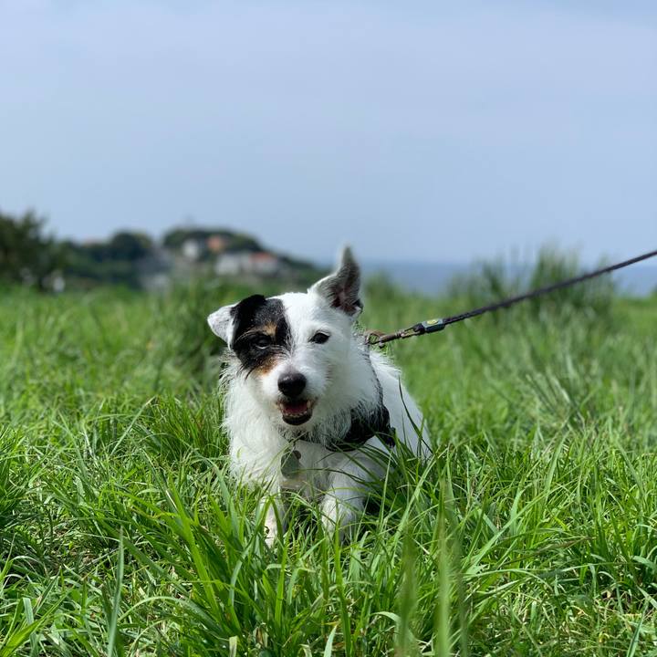 1febb0e6 0d17 4cbc 9b2a 9f7479b7b7ee 1714350949491