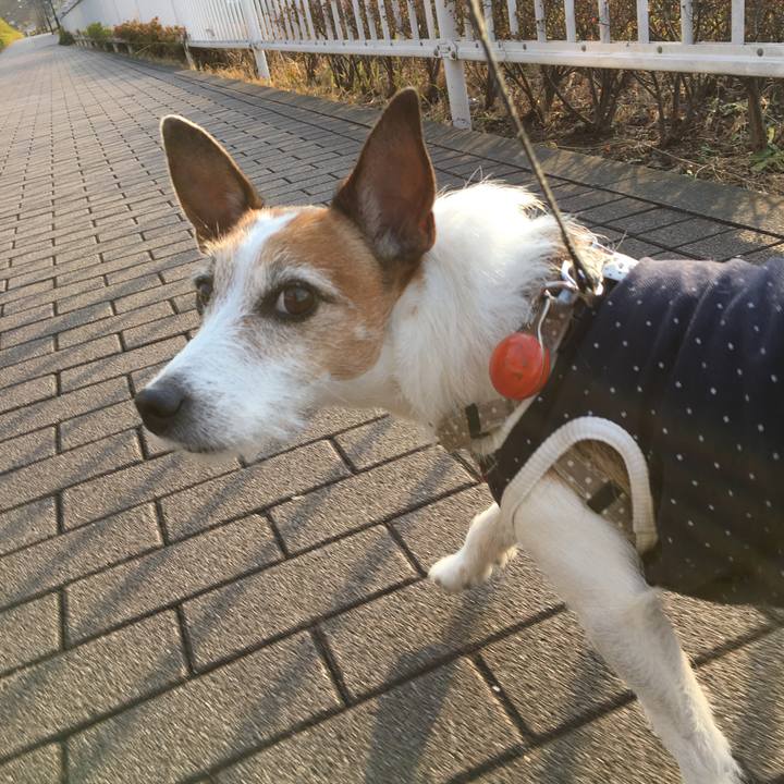 1febcead edb2 426f 85fc 878c5b807768 1609288976203