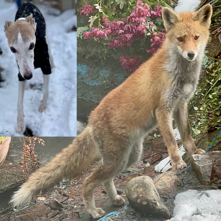 1febcf9e 73c1 45e5 8fb6 4a839062e7de 1765786705739