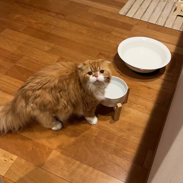 1febf297 9a10 4abc aa93 939455a2d05a 1763449888097