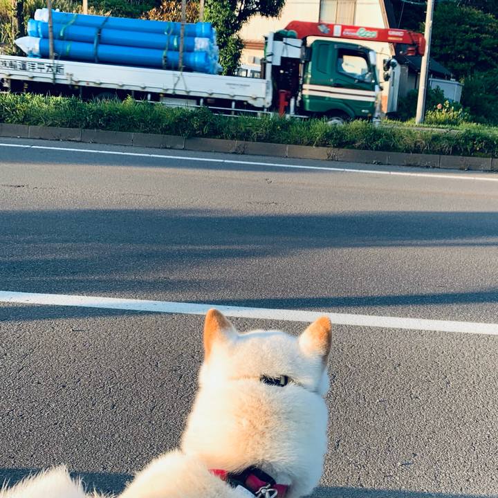 1fec10f4 0d47 4ba6 9bdb 6dac4dd90f3b 1602286073641