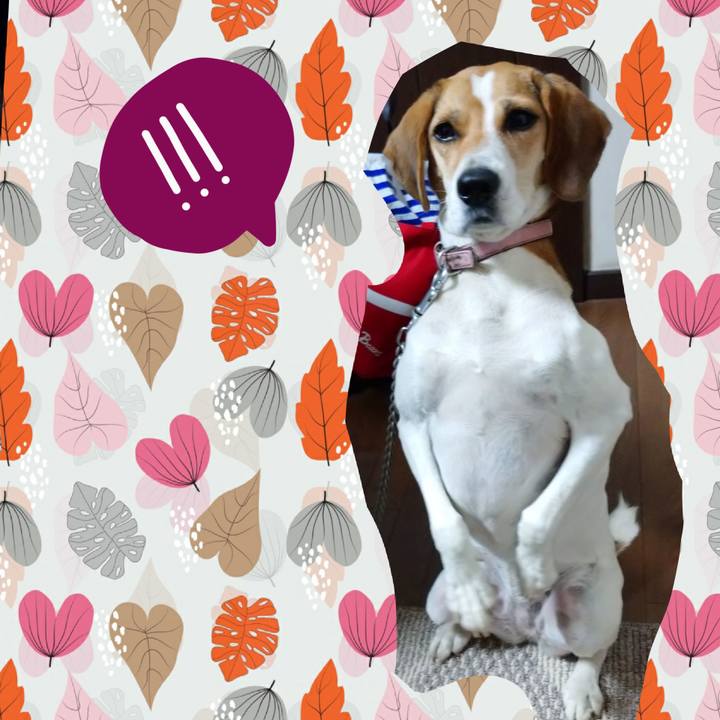 1fec454e 06c5 41db be6c e6788c52f3a2 1602158465404