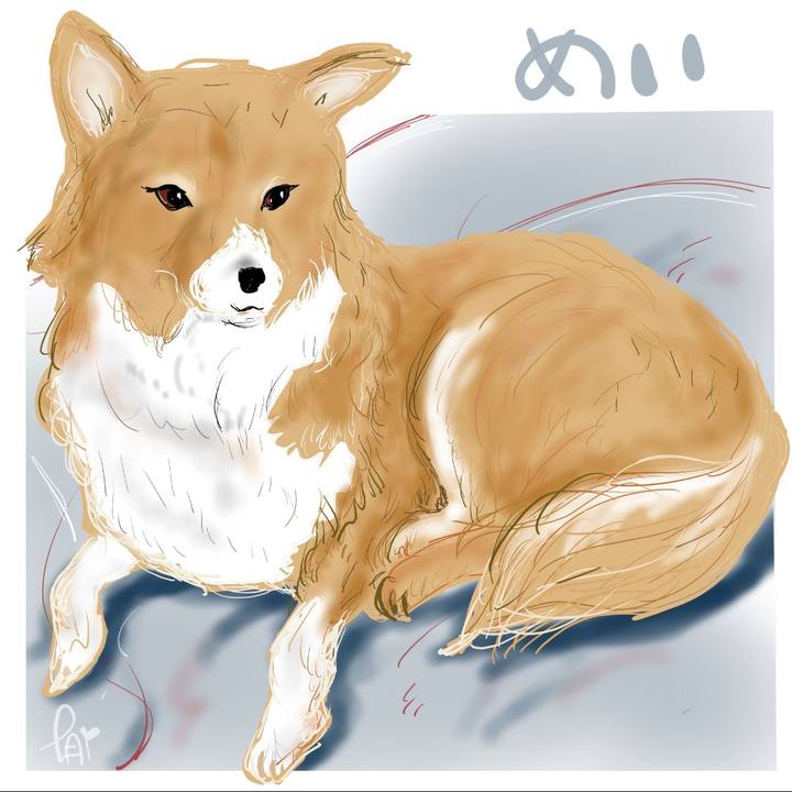 1fec49b7 29aa 49cd b71d 8e8657f58709 1639652996702