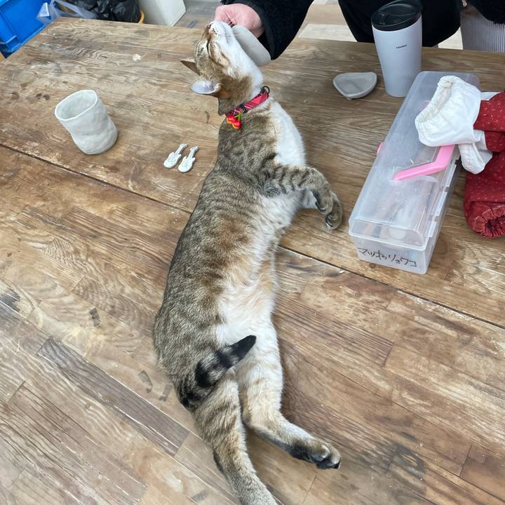 1fec5ba2 40ed 448f bfdb 5af0595ffb08 1737984309353