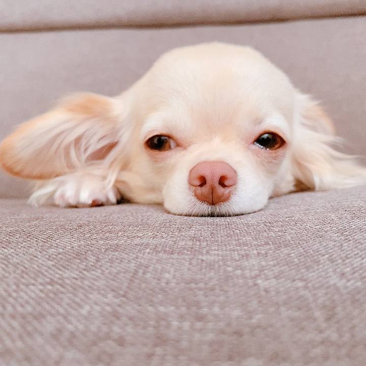 1fec667d c508 4d30 b4c2 571e1c19b733 1625641651627