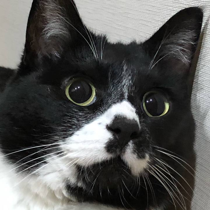 1fec8be7 862f 4446 8537 1282642f17fa 1654313468361