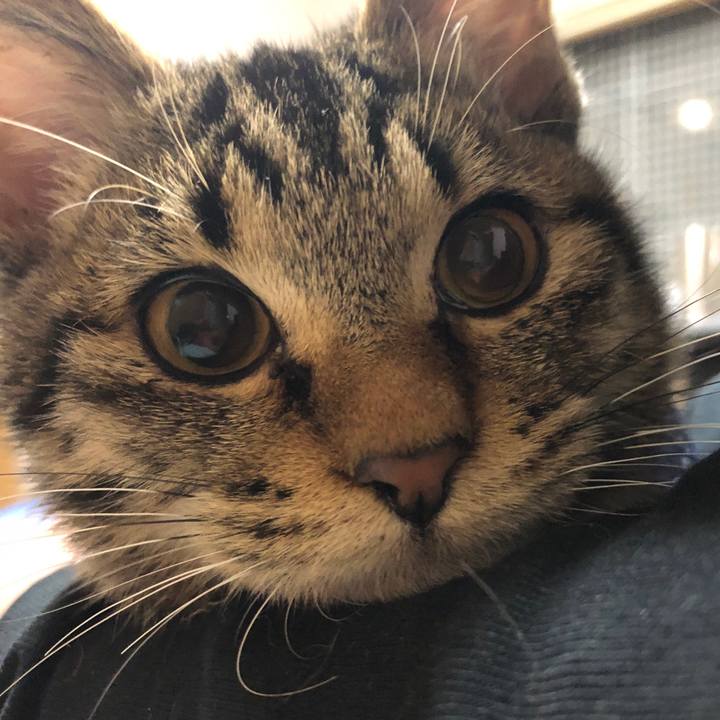 1fed0dd1 66c8 422b ac1a a5a87ad2632f 1731747373921