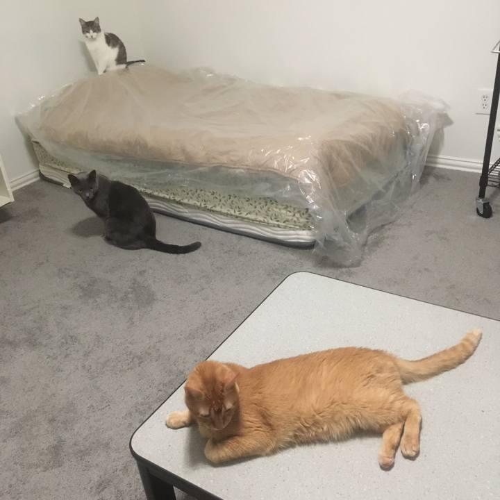 1fed14ce 0a9a 48ac 8014 55e5ffb7d9c5 1658979336598