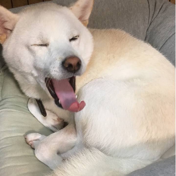 1fed48b6 878f 4b56 9108 1acbe26cb376 1524995643267