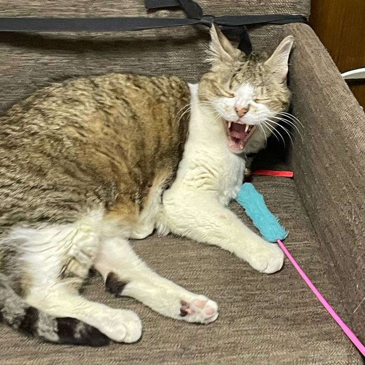 1fed5fc5 590d 48f6 afa5 f5808c89dc99 1765333475916