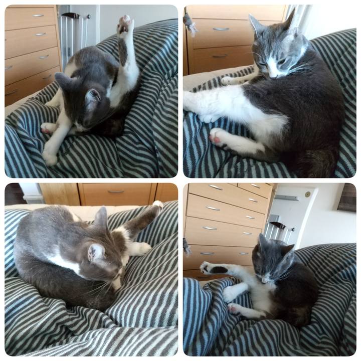 1fed8483 db56 4964 941d d4a0ce1c96d4 1618100796943