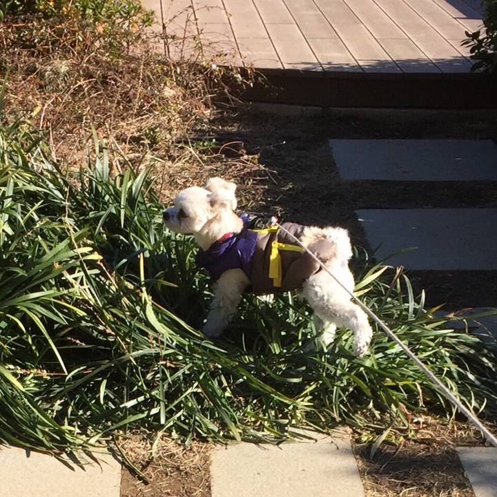 1fedb6c2 88ed 49b3 8d8f d6fcd125116c 1514892817062