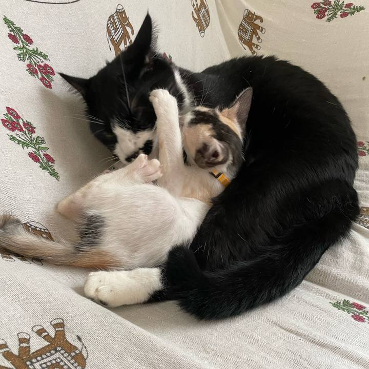 1fedd34b 567b 4298 af37 e57cf4ea6d8f 1658372454655