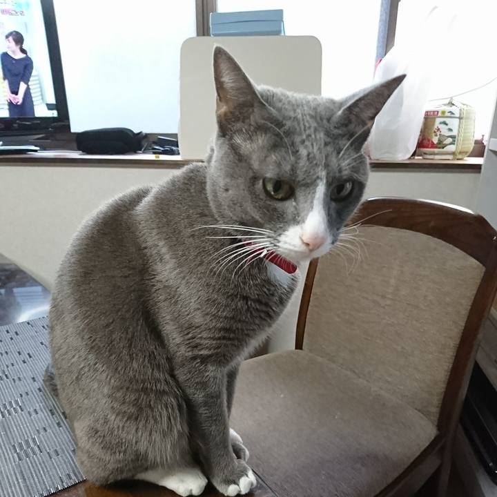 1fee00ad c9e4 4f9a 9efc 6d19fd1d4a72 1511307435295