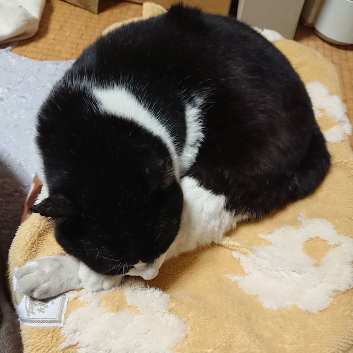 1fee2b15 8882 4646 bbf8 b192ec001e08 1647429229414