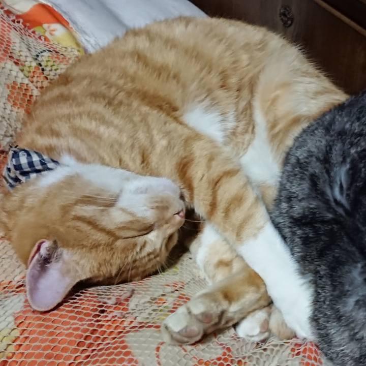 1fee2d1f 5ffa 4eda 8962 88a09dee9f95 1573047316268