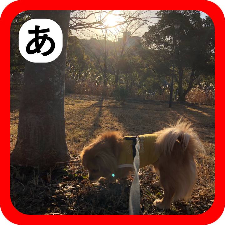 1fee2f29 4341 456d a224 d0d6b1ddb15a 1514771193396