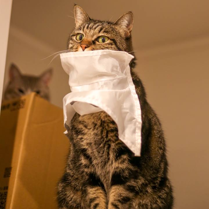 1fee8de0 3673 489a a2e4 e897e6927676 1667222556730