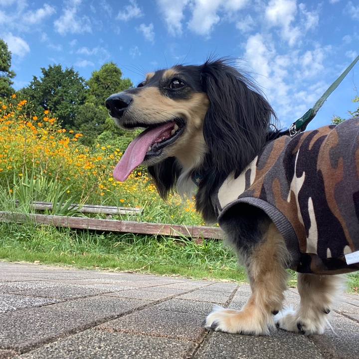 1feea26a e33a 4340 a635 1d2db6515ac2 1756685293508