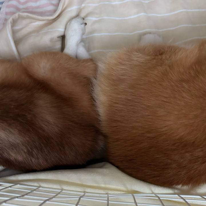 1feead99 058f 4473 8cb1 6d8b7ee5a3b3 1757055802339