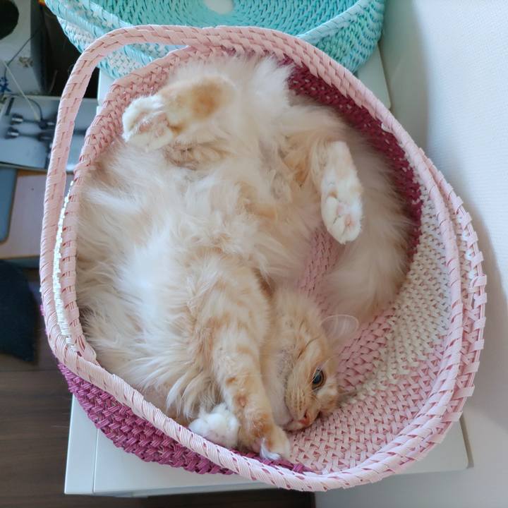 1feecad3 71a3 4f7c 8183 0b5f5a91611c 1688255478711