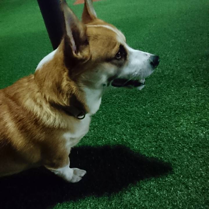 1fef0404 4c29 45f8 858d a24735b7317c 1607752091672