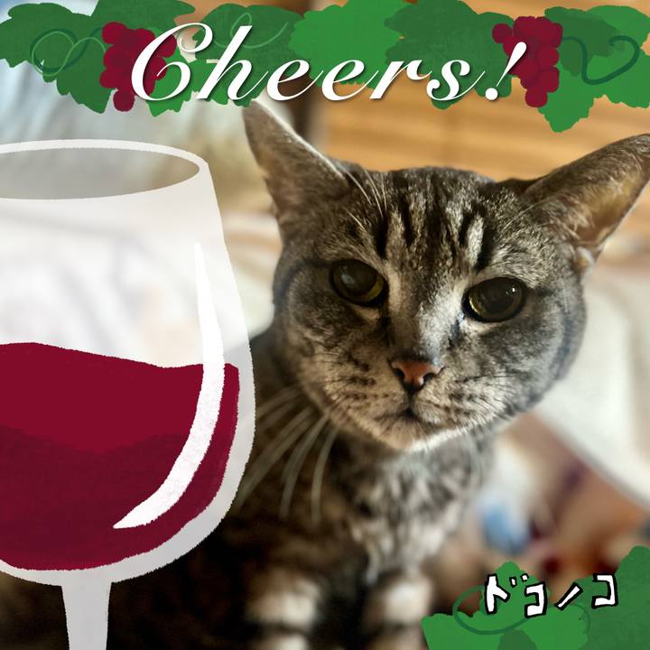 1fef1bc5 361c 4bcc 9d27 145b27528447 1763650451918