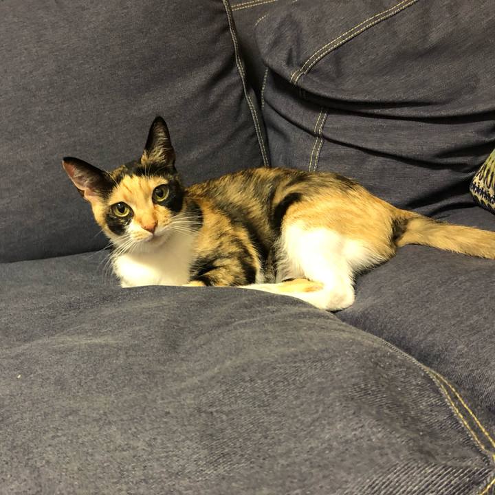 1fef2325 9f25 42ce 8701 58fd204f632e 1552487596346