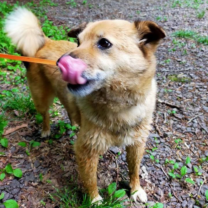 1fef3018 22e7 49b5 90c8 f3731e3f2b21 1665754033608