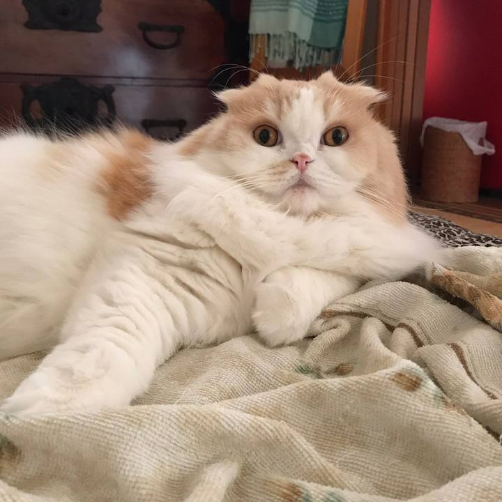 1fef5db7 2a90 48d0 8441 d400d63dcf22 1554633619734