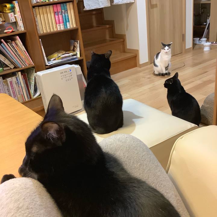 1fef67cc ab7b 4e7f 8aba 3f7417893f26 1554303607253