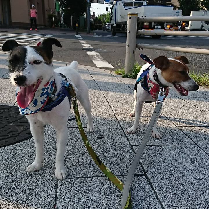 1fef8ccb 7ac8 4ba6 83b0 2ba9e124334b 1532123820935