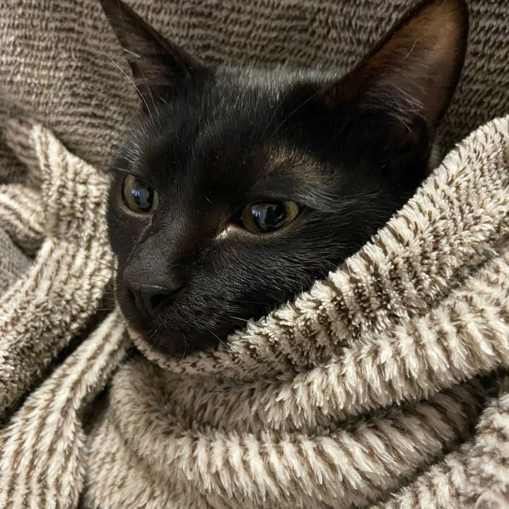 1fefcea3 62d8 4746 a55e aad4eaddb6f6 1642765788619