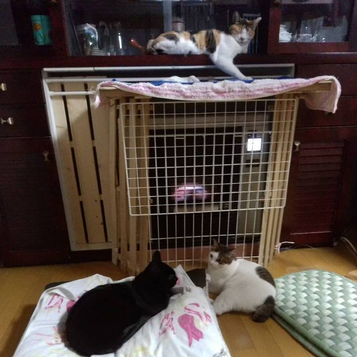 1fefcf8a 27e9 4c2e bcdc d960a27a6a2c 1670502643961