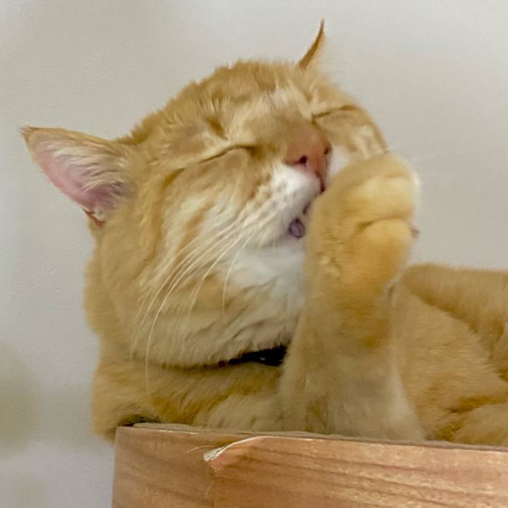 1fefec26 4853 418c 975f 7c169f0fbb24 1739017463899