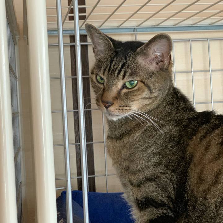 1ff01b50 4d2f 4bcf bcaa 1e4bf5b7c604 1569979584817