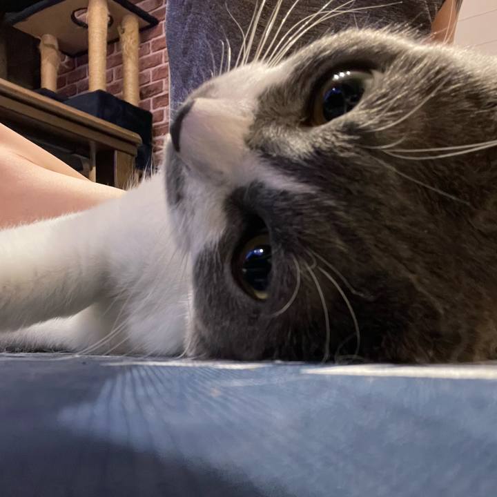 1ff0382b b529 47ee 833a 9283d72c2edd 1696086930274