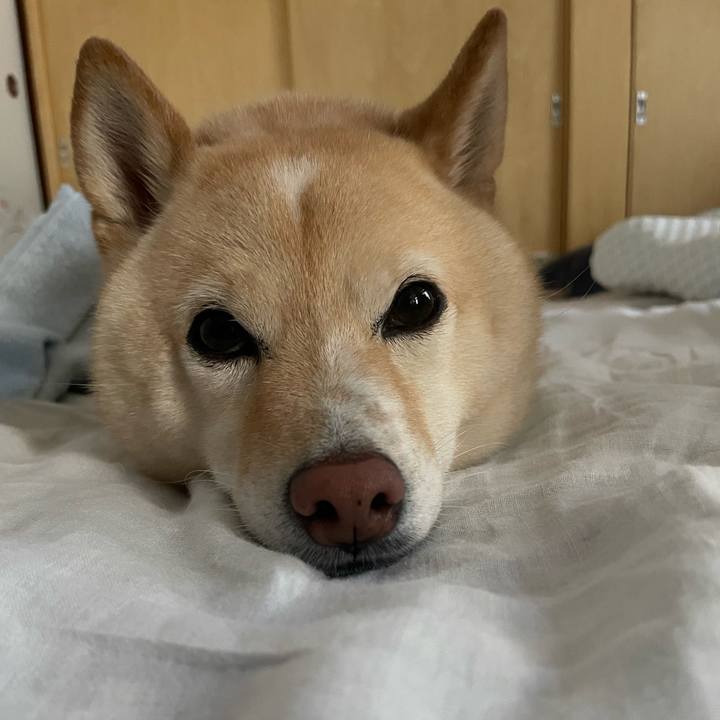 1ff03dff 5dd7 4d5c 954c 9a74d9c69712 1692739701412