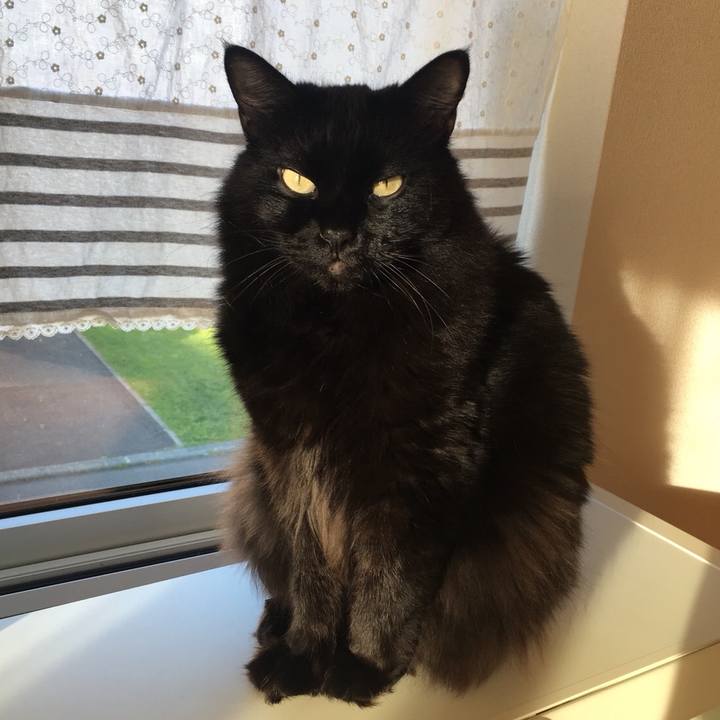 1ff046c6 e580 4da0 be50 fb1613520693 1536725038669