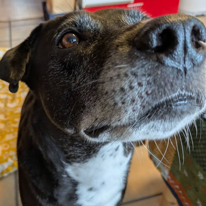 1ff0615c 979e 4469 8313 7cee1fdcd807 1752711330269