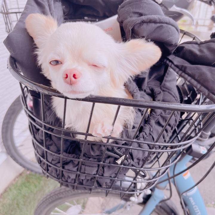 1ff0a6ec a8ee 44de 8054 8e94f50b573b 1681466018164