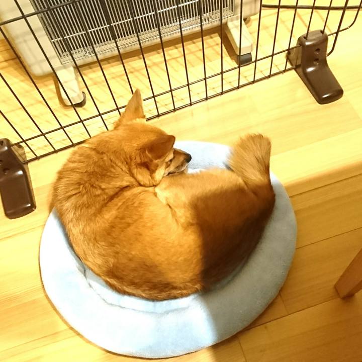 1ff0a91a 61a2 4374 ab7b ade048db4d66 1509711561694