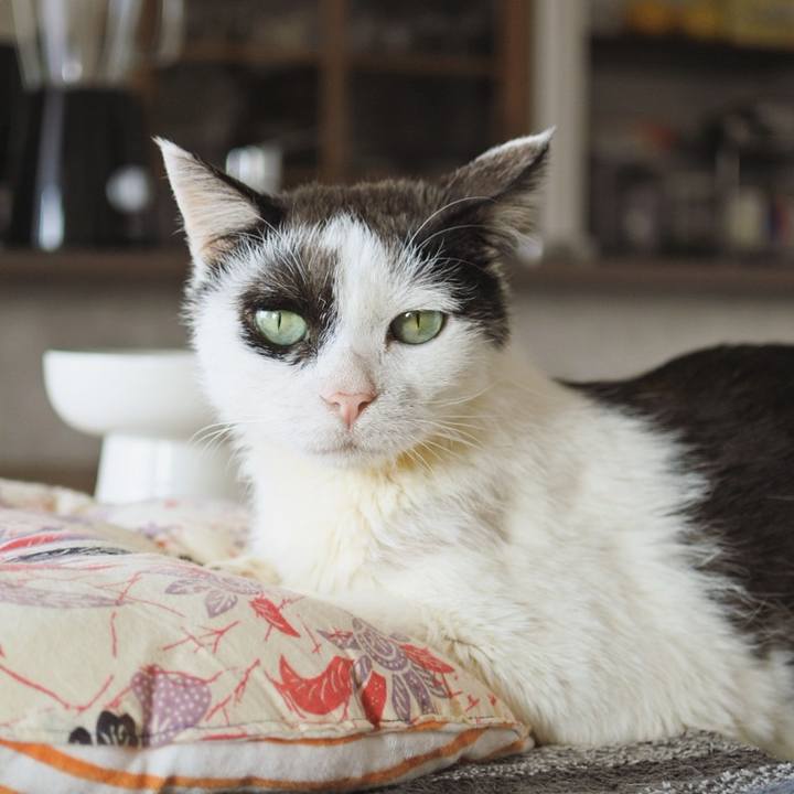 1ff0b311 b2fa 481b 8148 c72cdcbe90ef 1678267407849